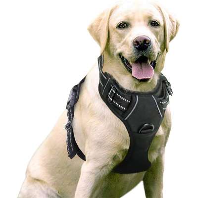 Outdoor Training Adjustable No Pull Pet Vest Dog Harness With 3M Reflective Strip